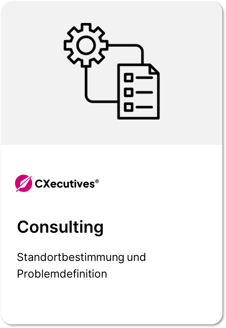 consulting_preview